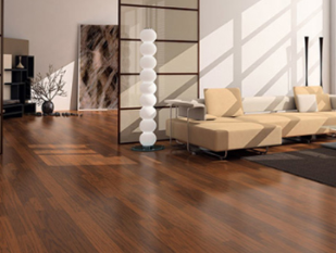 Please Watch Vinyl Flooring Video