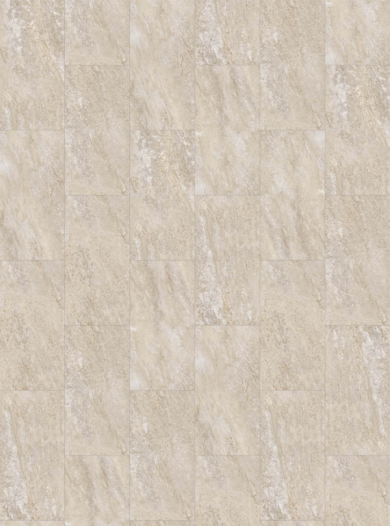 Marcidus B00000100 Marcidus B00000100