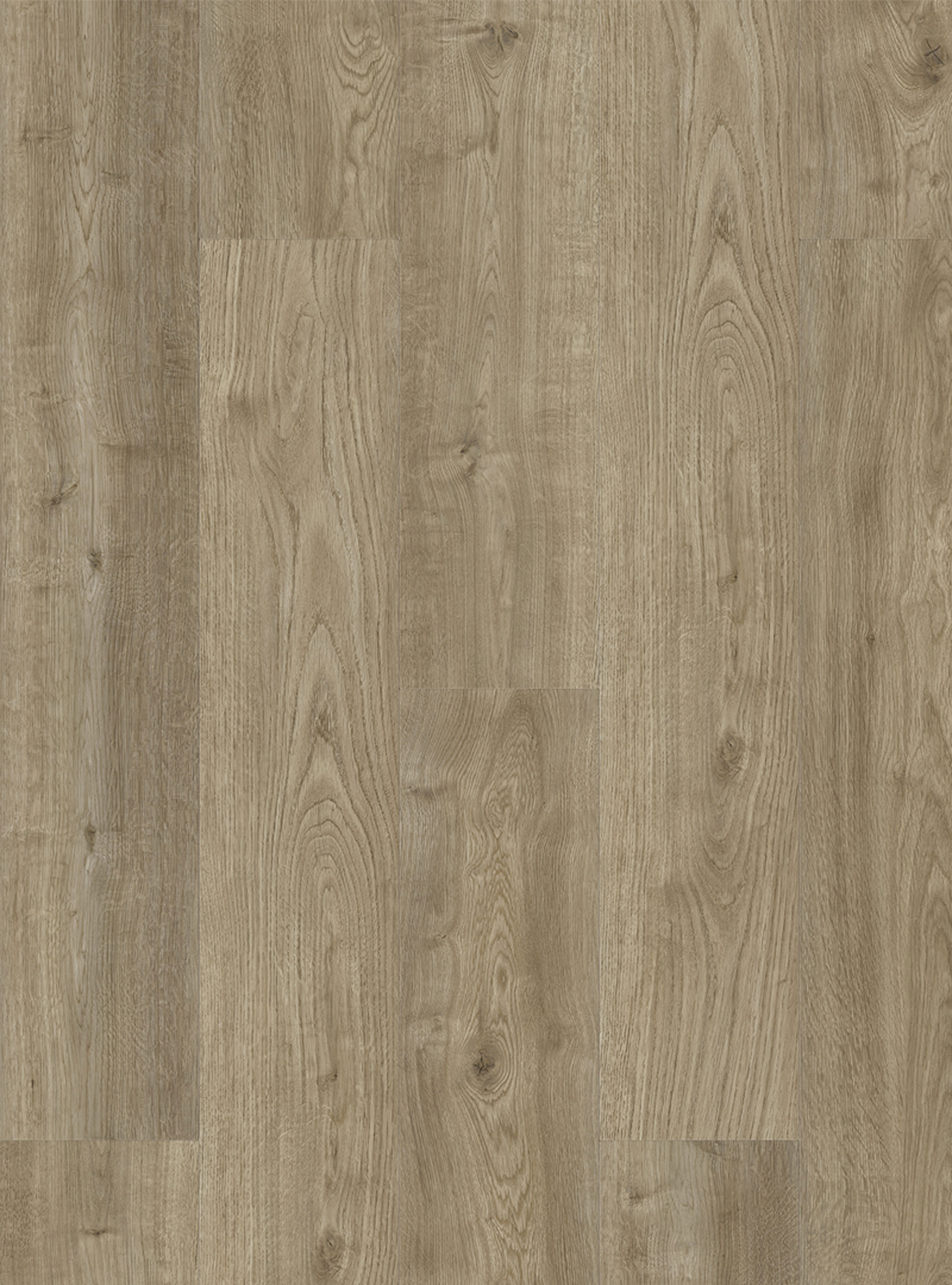 Milan Tibicolor B00000085