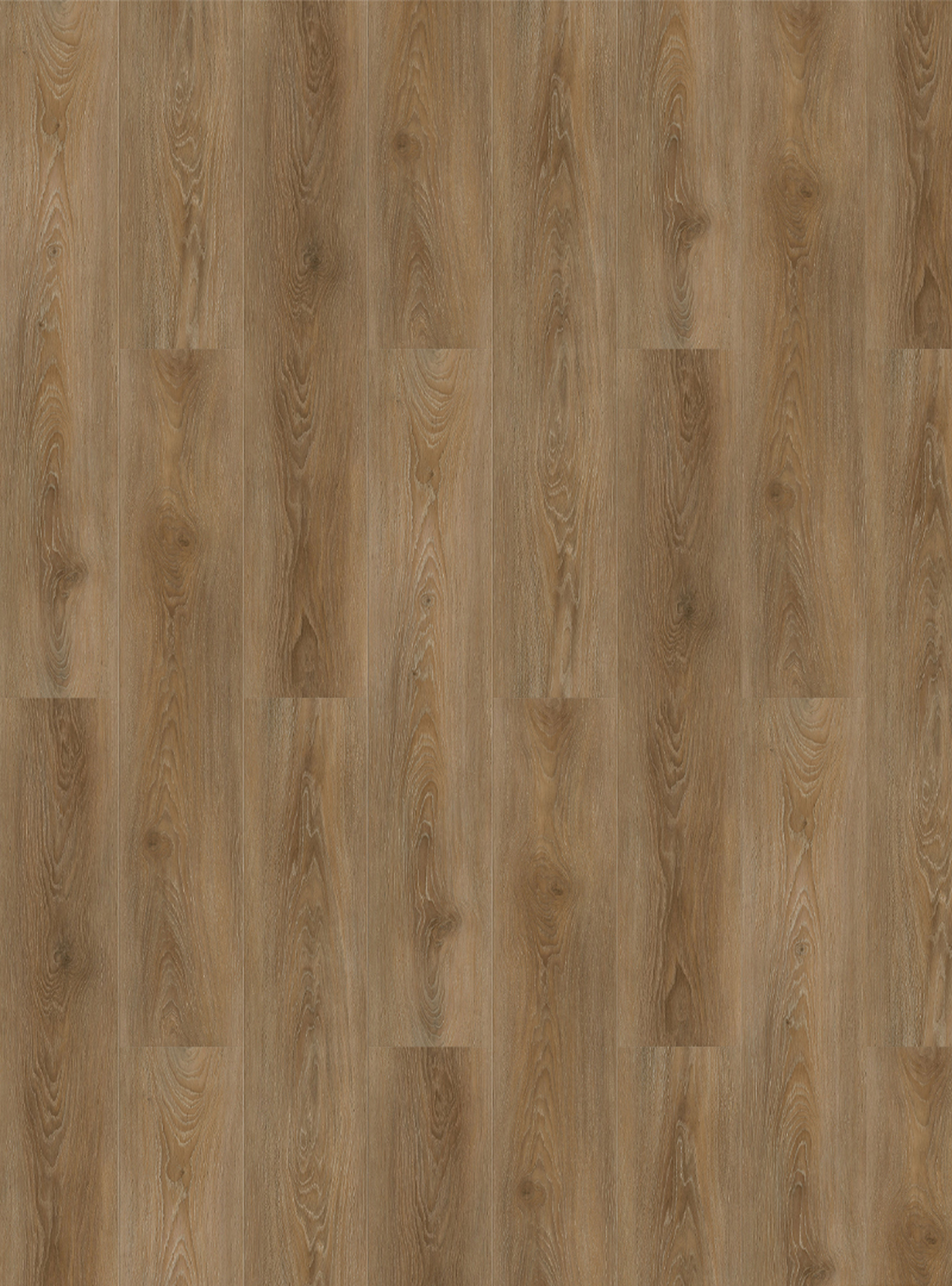 Milan Birkin B00000084