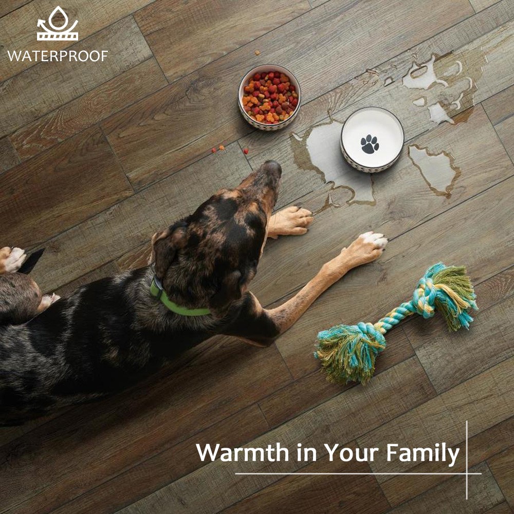 Why The Vinyl Floor Is Quickly Loved By The Public