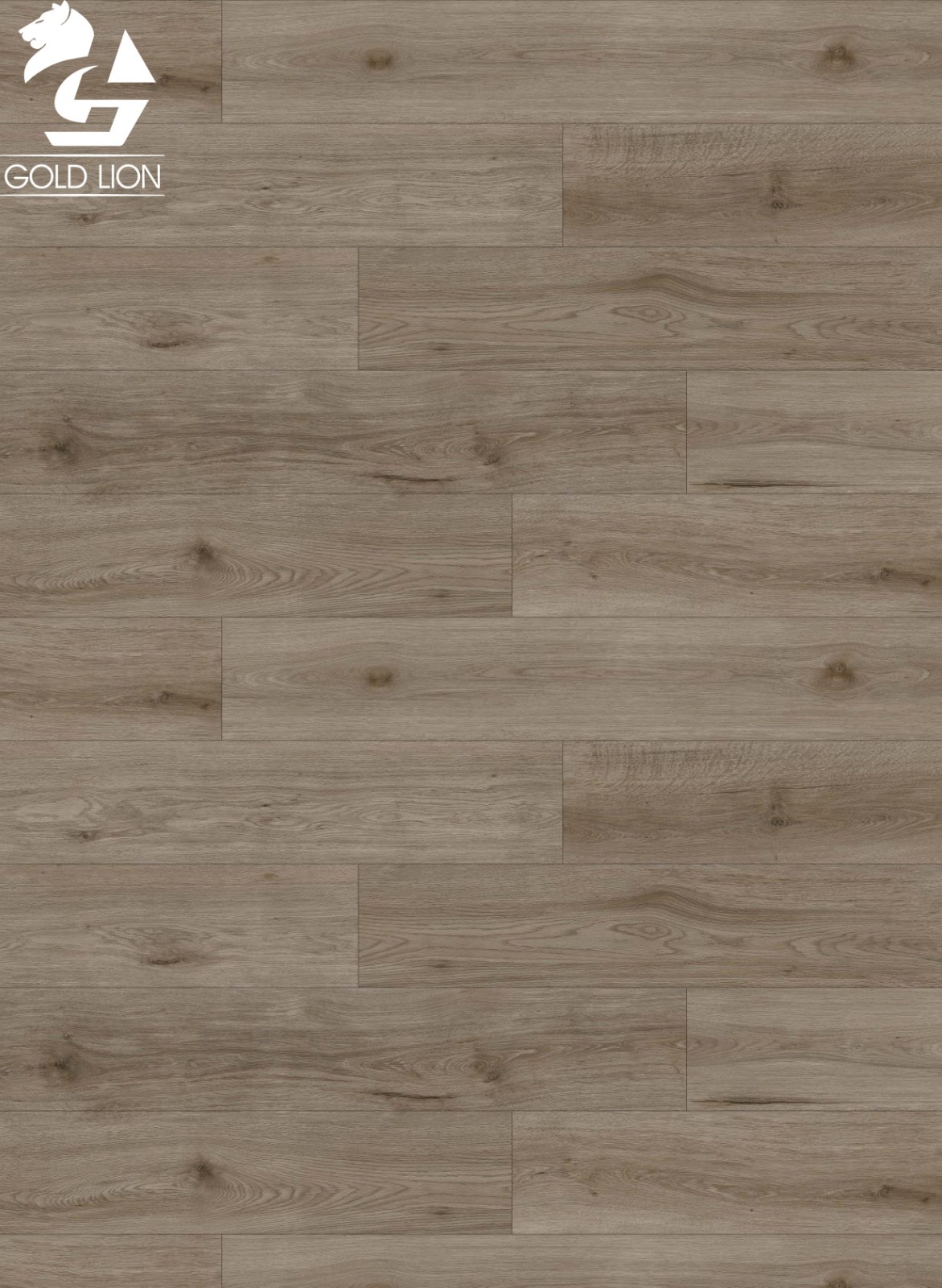 Sunshine Shadow B00000089