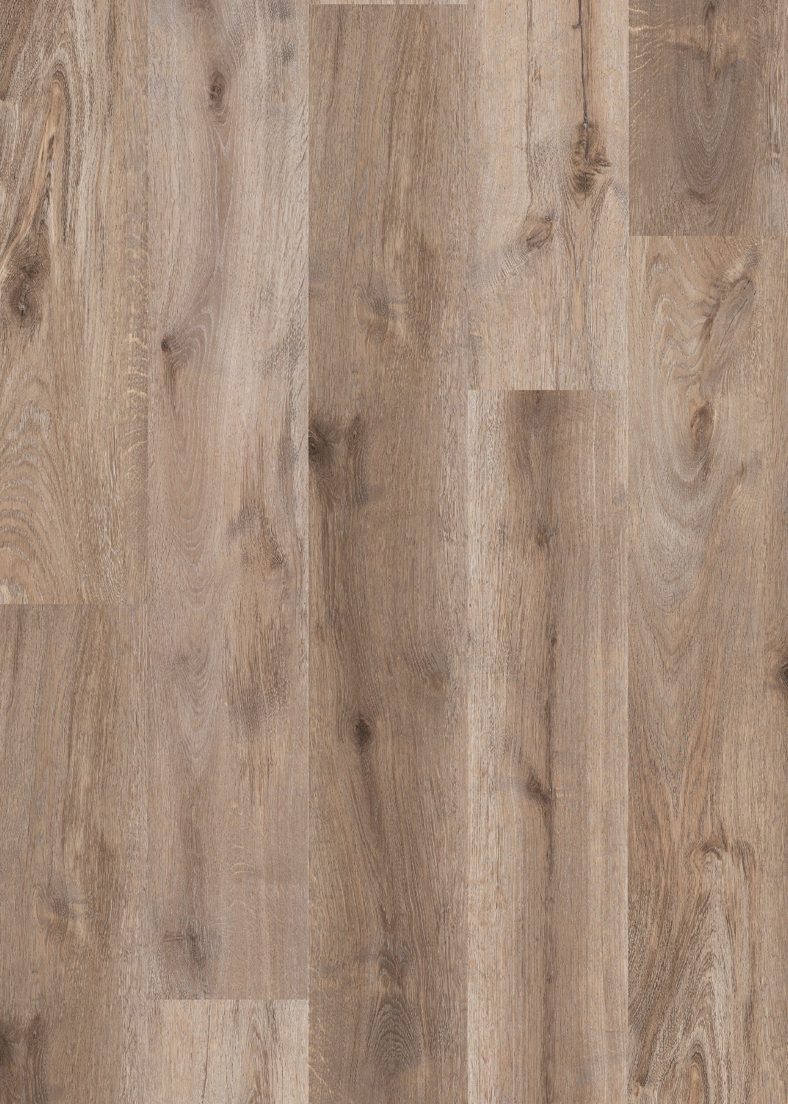 GL2311 Seaweed 7.2*48.03 GL2311 Seaweed 7.2*48.03