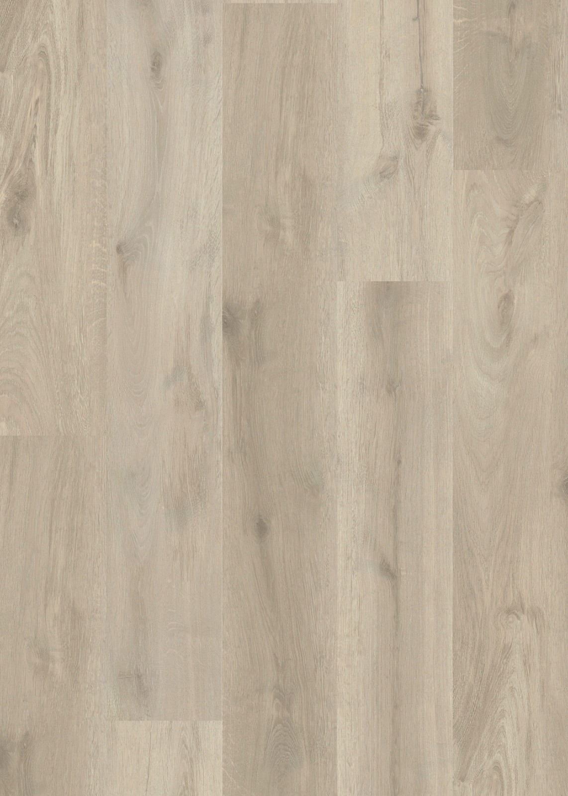 GL2312 Starfish 7.2*48.03 GL2312 Starfish 7.2*48.03