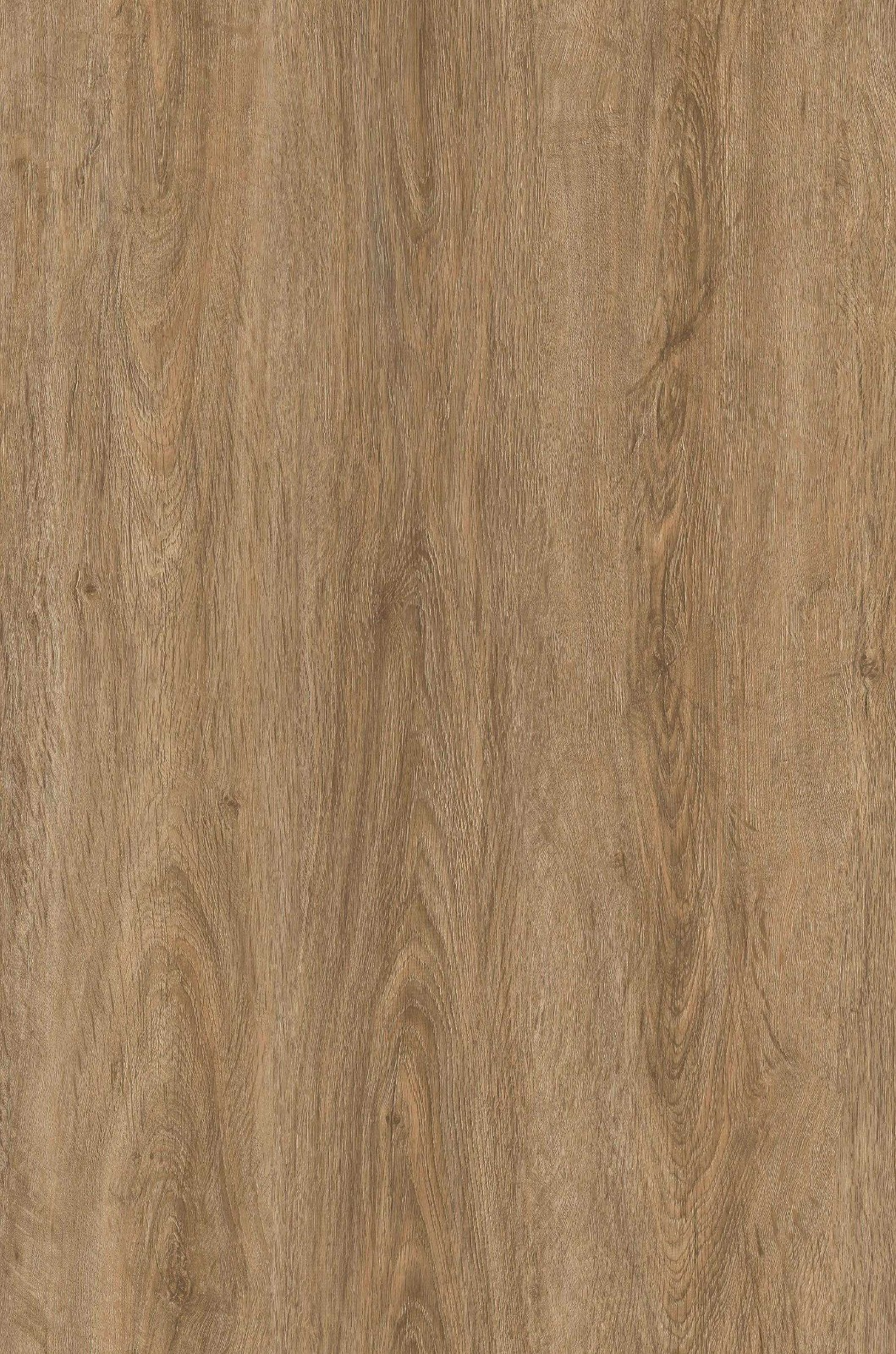 GL88048-8 Cactus 7.0*48.0 GL88048-8 Cactus 7.0*48.0