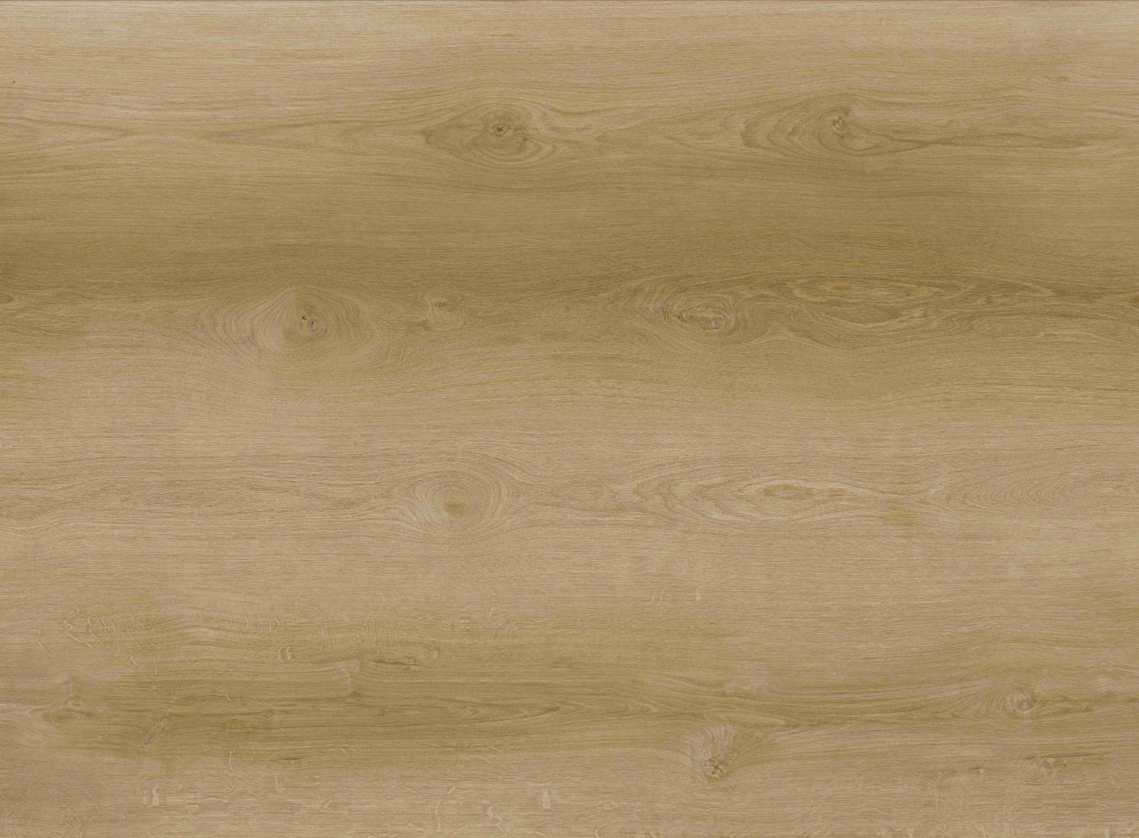 Commercial SPC Flooring GL531L-1 Size 7.2*48 inch*5mm Commercial SPC Flooring GL531L-1 Size 7.2*48 inch*5mm